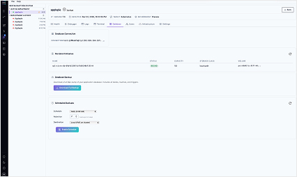 PIES Studio database management view showing tables and relationships